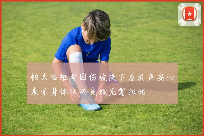 帕夫洛维奇因伤被换下后发声安心表示身体状况良好无需担忧