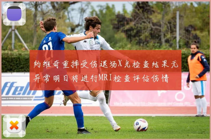 约维奇重摔受伤退场X光检查结果无异常明日将进行MRI检查评估伤情