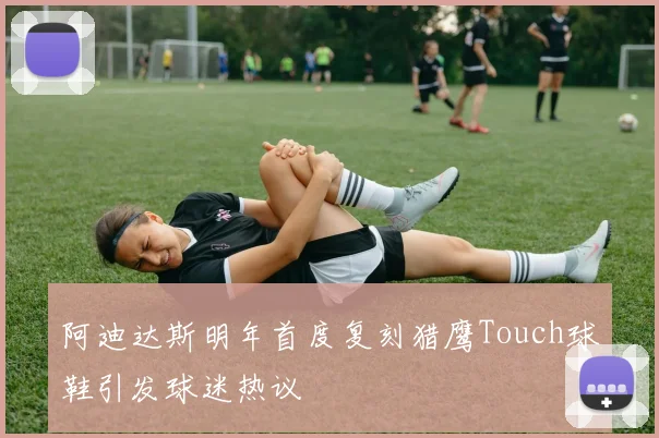 阿迪达斯明年首度复刻猎鹰Touch球鞋引发球迷热议